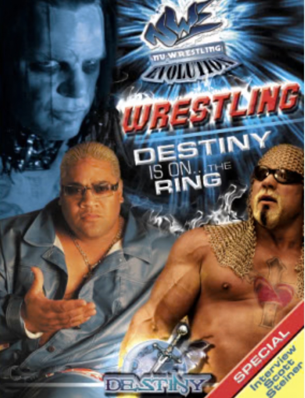 Wrestling Destiny Is on the Ring television series artwork